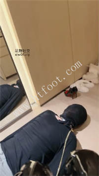 cyfgvqeh01a.jpg