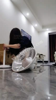 kb5o02h12gy.jpg