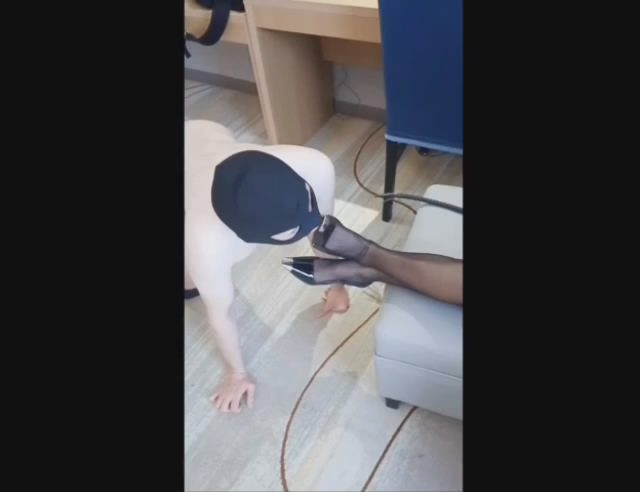 ukkgjfnjif4.jpg
