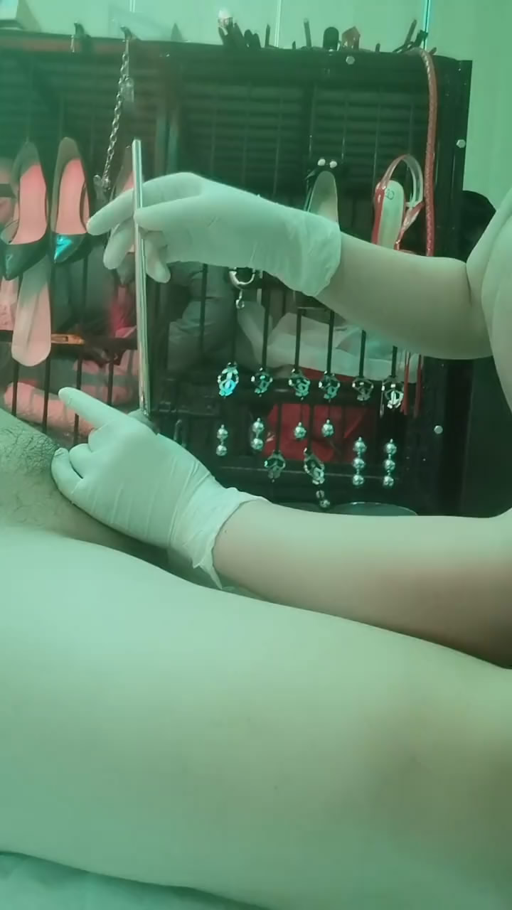 vh2e3bsq0pd.jpg