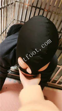 010848n5zq5n9bqxbei0q0.jpg