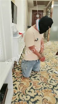 233739pzdee6moshrhd26k.jpg