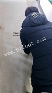 003854vn8220n980yme0eg.jpg