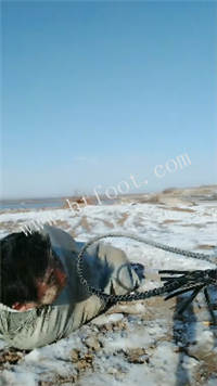 010105qgslawmg7a6elfe6.jpg