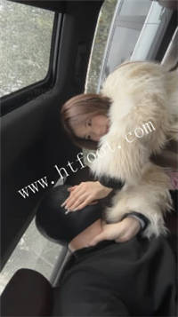 230300rhqglh4oz744lsh7.jpg