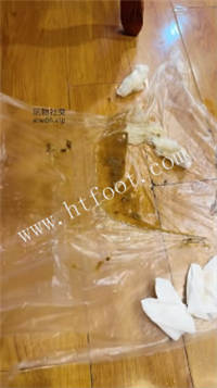 061921isq6u6s9jq59e4vq.jpg
