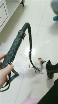 005122zin112i2qcnni5nr.jpg
