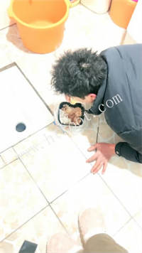 005321alv2gq40g2hl23ql.jpg
