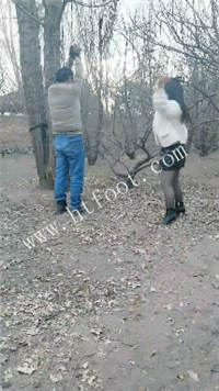 010024izqzpy8ckwhcfvkz.jpg