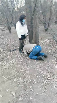 010029deedpfe3stt1ossf.jpg