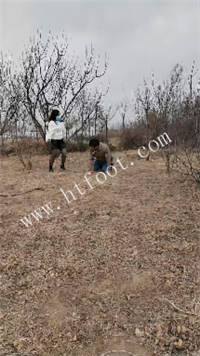 010115joolcopnpcynrfli.jpg