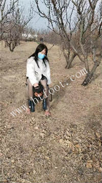 010118e5ys957fytmw052q.jpg