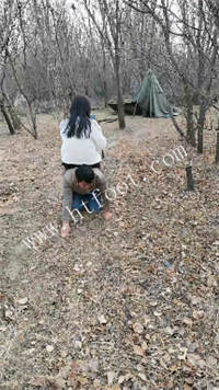 010122yw9was8yawuduld7.jpg
