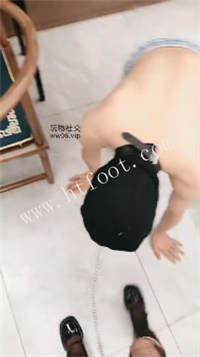 083046ngqw5ogn2aaz5dm6.jpg