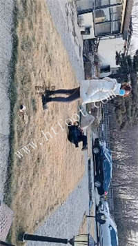 093427ibbntire509zabat.jpg