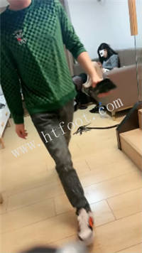 002048ldf03l03fsspdljp.jpg