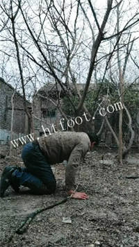 002623a44ttkagbk7xyuvg.jpg