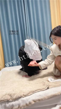 113406inv24v4v414zx28i.jpg