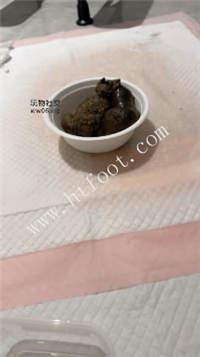 121007j0d6huqo31hwzhww.jpg