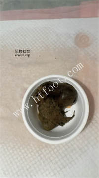 121007jxaa1pmtomx3233p.jpg