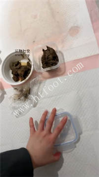 121007o7m3qxu8mvmningn.jpg