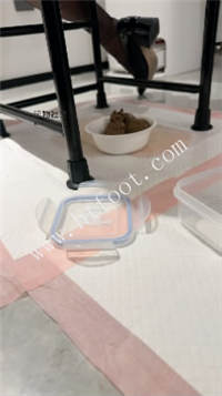 121006ta6yz1liyidemiy6.jpg