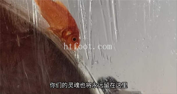 135618xz5wllxbx0sblb93.jpg