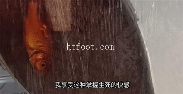135617v28zb8q15g819obt.jpg