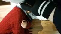 哈宝S 开发一只小母狗
