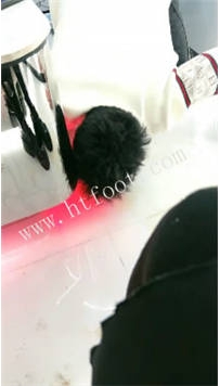 ZB1809 刘二狗】开发双研究生素人42分钟