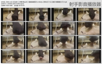 【绝美浮梦女神】最新全方面羞辱到吐