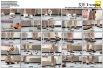 14537 Doris Cricket Snail 4