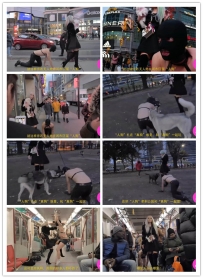 女博主养人狗事件探秘-你所不知道的“人形犬”的真实生活