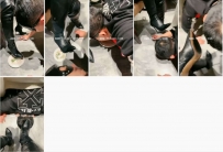 TL11009 宛凝 TJ：户外饭桌下的贱狗 吃残羹剩饭